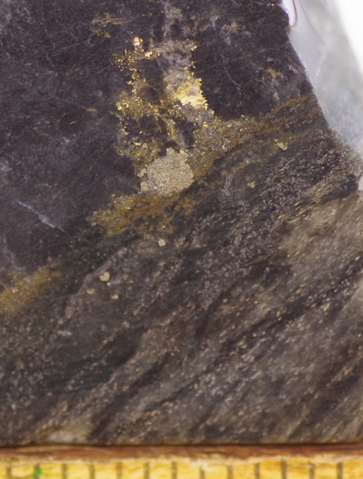 Gold_Niger_Bella Tondi_BTRD004_202m (3).jpg