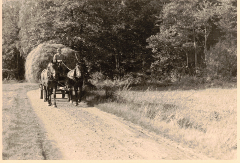 195x_Freiberg Striegistal Fuhrwerk.jpg