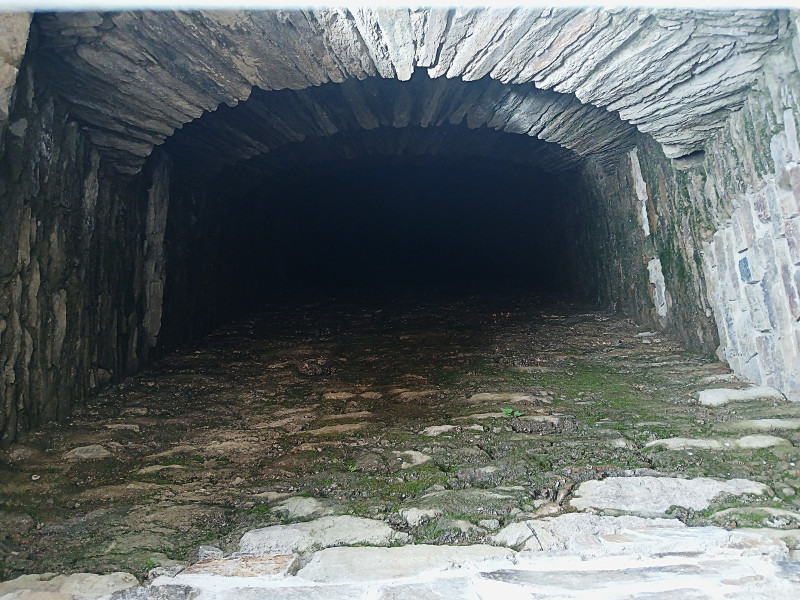 20250720_154002.jpg