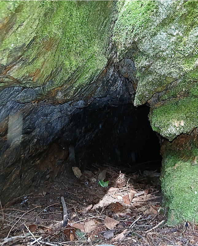 Schacht 1 - Stolln.jpg