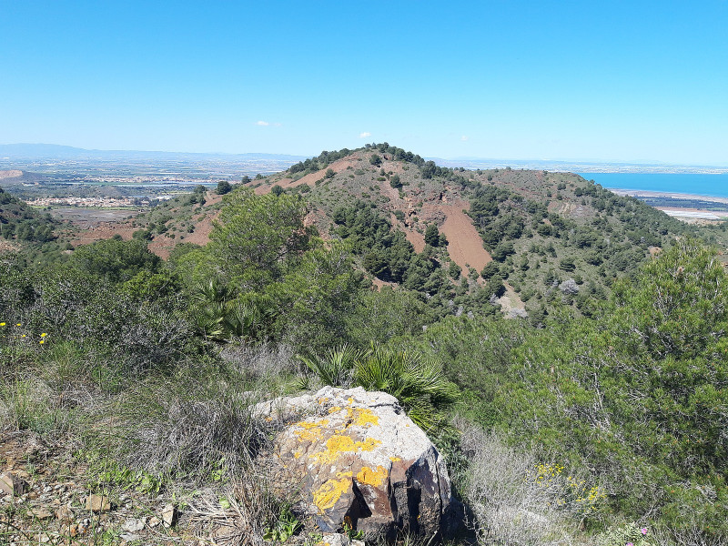 1 Blick nach Llano del Beal.jpg