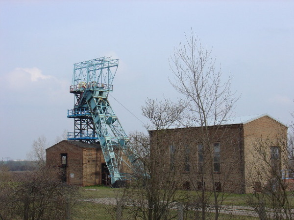M. Hoffmann 2004