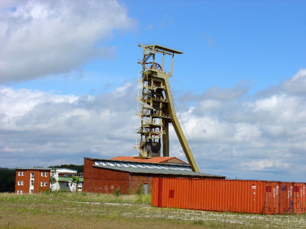 M. Hoffmann 2004