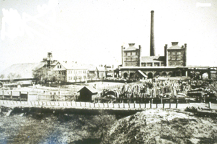 1 Holland a.JPG