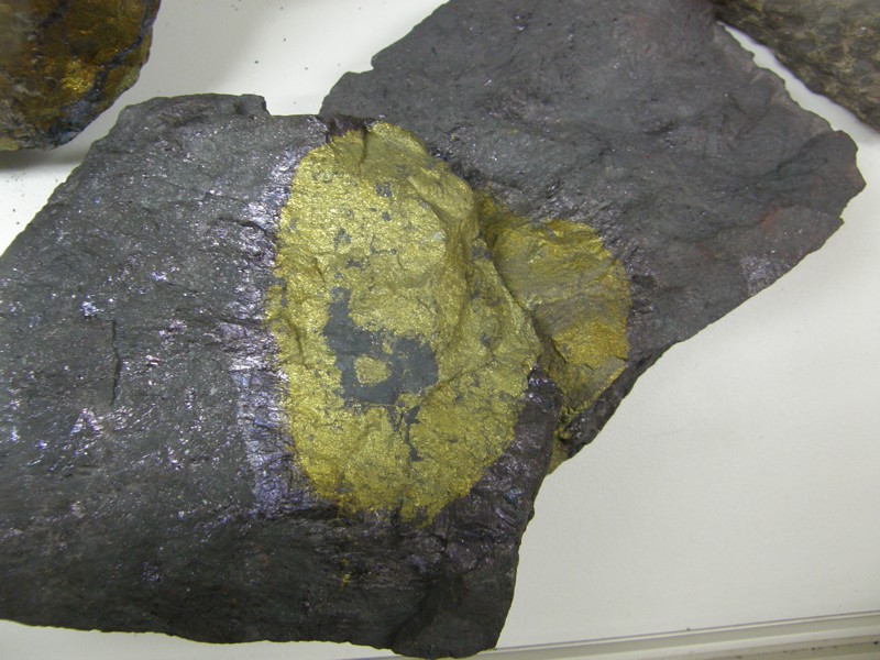 Reicherz: Innen gelber Chalcopyrit (Kupferkies) umrandet von Bornit (Buntkupferkies) in Haematit.
