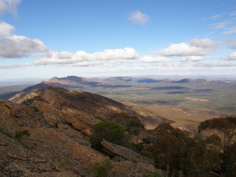 Auf Mary's Peak, der hoechsten Spitze der Flinders mit 1.172m Gut sieht man das herumbiegen der grossen Falte, welche Wilpena Pound ausmacht.