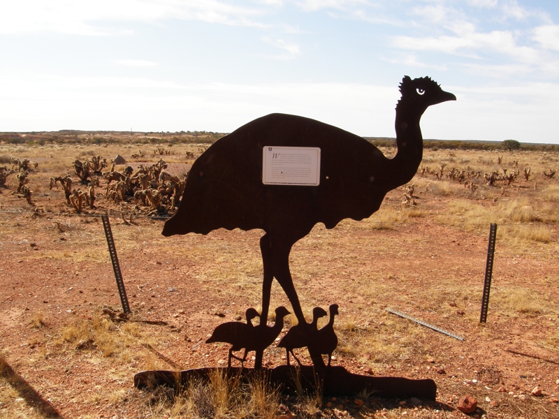 Emu - die Tafel erklaert das harte leben eines Emu Vaters.