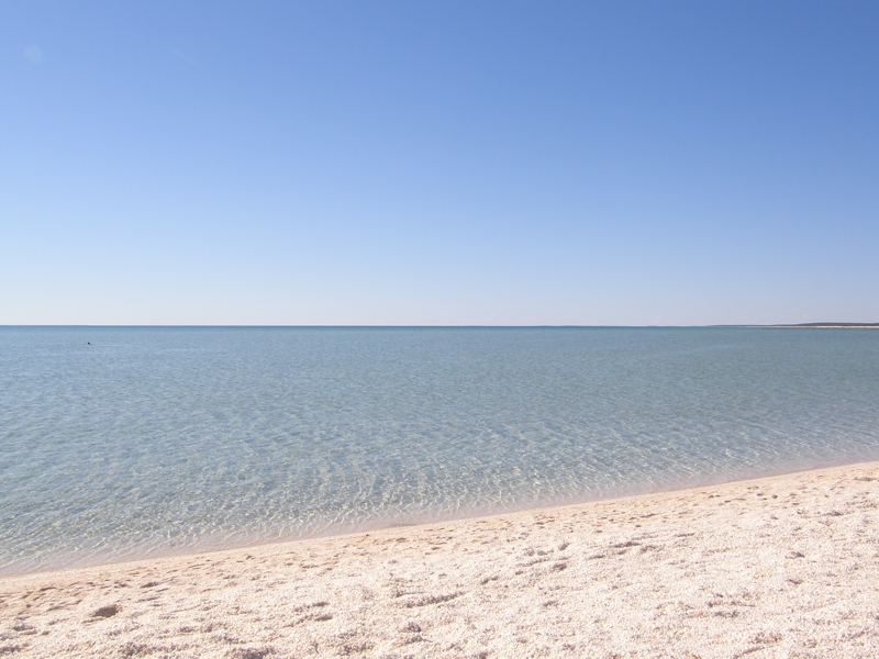 Shell Beach, Shark Bay - kein Sand, alles Muscheln