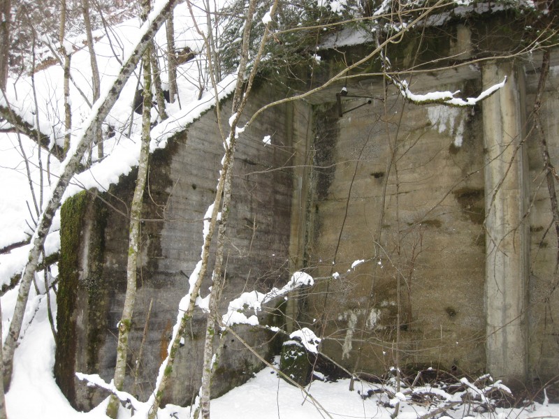 Bild 005.jpg
